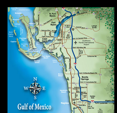 Naples Florida graphic Artist
