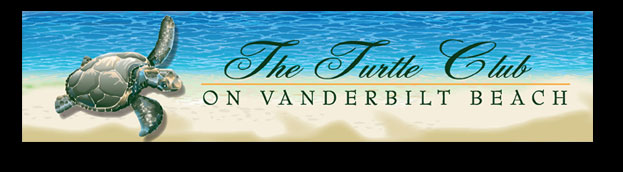 Naples Florida graphic Artist